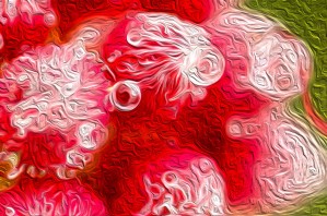 Water Droplets in Red